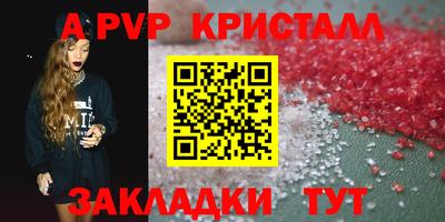 индика Нальчик
