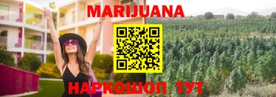 индика Нальчик
