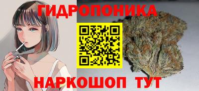 индика Нальчик