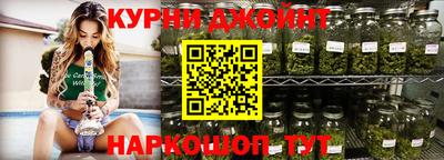 индика Нальчик