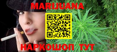 индика Нальчик